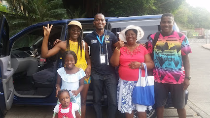 VIP Taxi & Tours