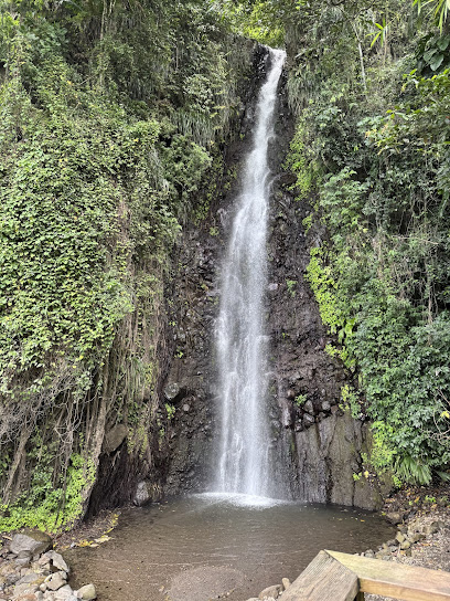 Trubb Taxi Tours (SVG)