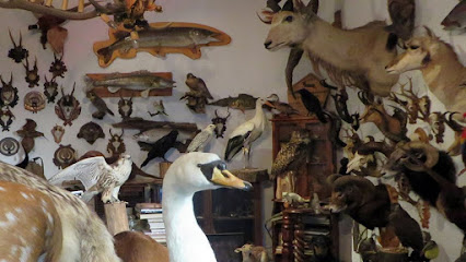 Twin Rivers Taxidermy