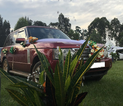 Tamer Gweth Car Hire And Taxi Services