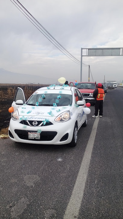 Taxi y Radio Taxi Exclusivo de Lerma S.A de C.V