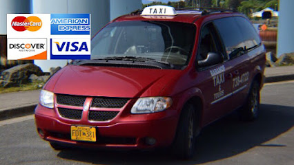Baranof Taxi & Tours Llc