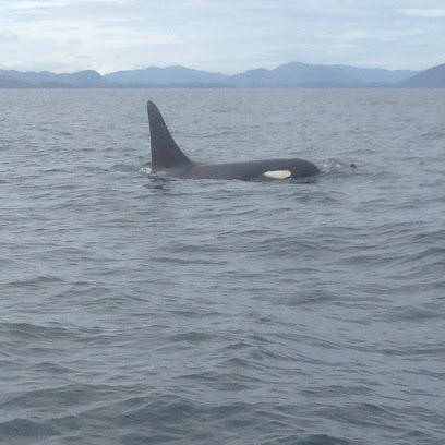 Sitka Sea Marine