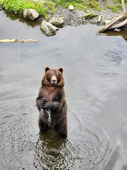 Sitka Tours