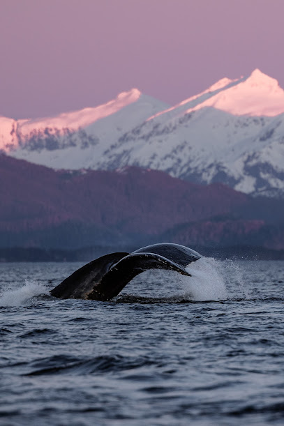 Sitka Sea Level Adventures