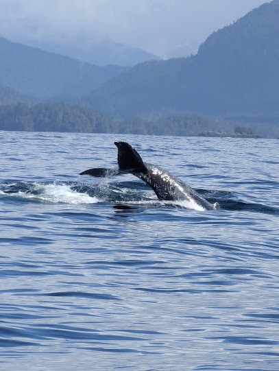 Alaska Wild Coast