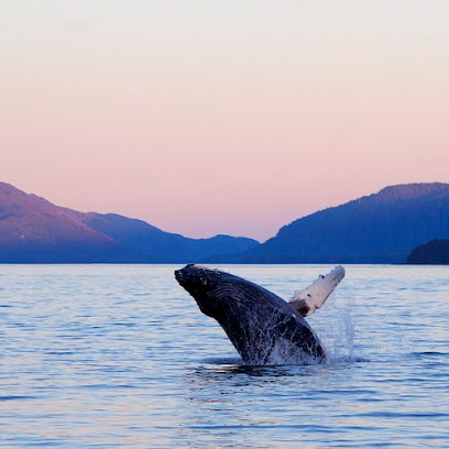 Sitka Safari