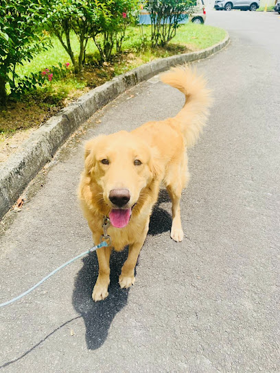 MT Pets Services Johor