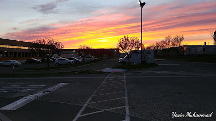 FlyNYON Helicopter Tours