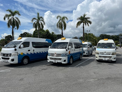 Taxi-Tour-Chauffeur Driven-Airport Transfer