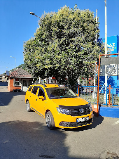 Köprübaşı Taksi Durağı