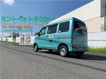 Mint Pet Taxis