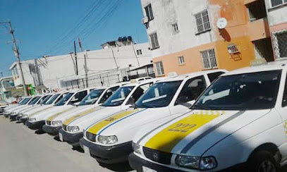 Taxis Union Centla Swamps