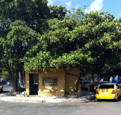 TAXI DE ASUNCIÓN - SUB PARADA Nº 20