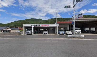 Mutsumi Taxis