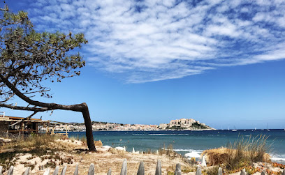 Vincent savelli taxi