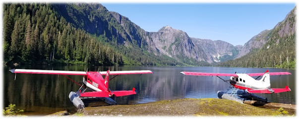 Island Wings Air Service