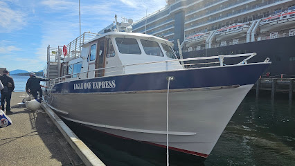 Eagle One Enterprises LLC