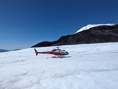 Temsco Helicopters Inc