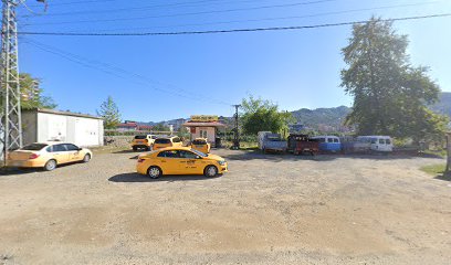 Tirebolu Tozlu Taksi