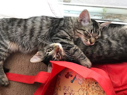 A Purrfurred Pet Care Service