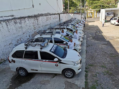 Sitio de taxis Acapulco - Atoyac