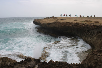 Soaring WO Limits Enterprises LLC