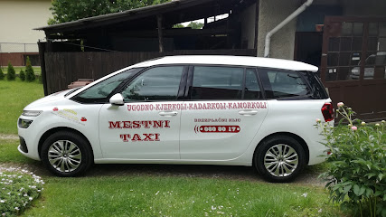 MESTNI TAXI