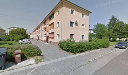 Taksi Bobo, Boštjan Makovec s.p., prevozi s Taksiji