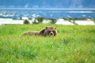 Homalco Wildlife and Cultural Tours
