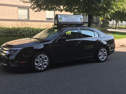 Green Cab and Yellow Cab of Somerville