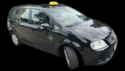 Cobra TAXI Ústí nad Labem