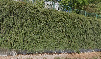 Ivan Šťastník-Fox Taxi Ústí n/L