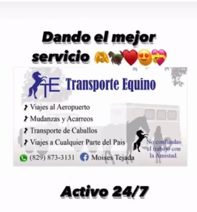 Transporte Equino Moises Tejada (taxi, mudanzas, traslados al aeropuerto y transporte animales)