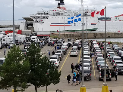 CTMA Traversier | Souris