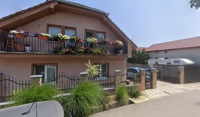 FLIP FLAP s. r. o., FLIP FLAP TAXI