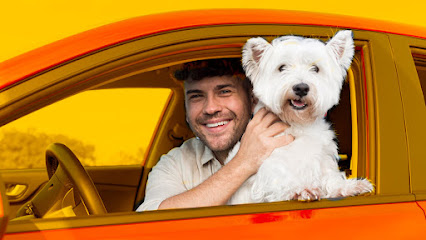Taxi Du Dog+ - Transporte de Pets