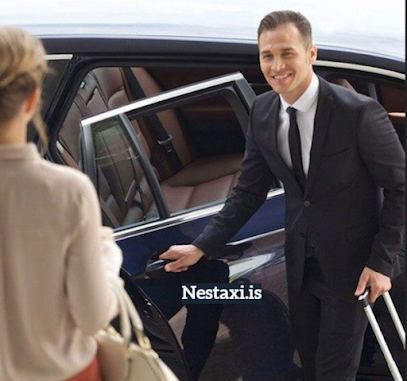 Nestaxi ehf