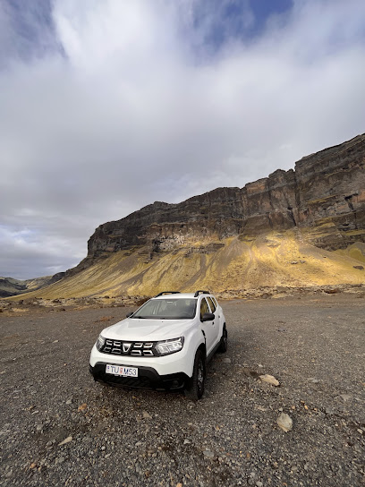 Auto Car Rental