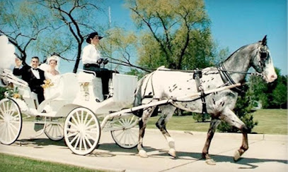 The Carriage Company