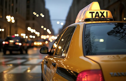 The Best Taxi