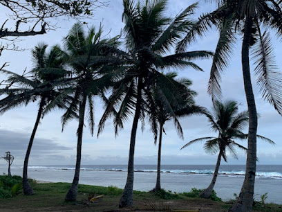 Tonga Airport Taxi and Tour
