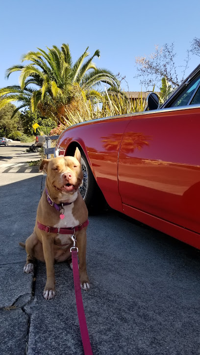Vallejo Pet Services