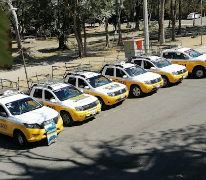 Taxi camionetas colima