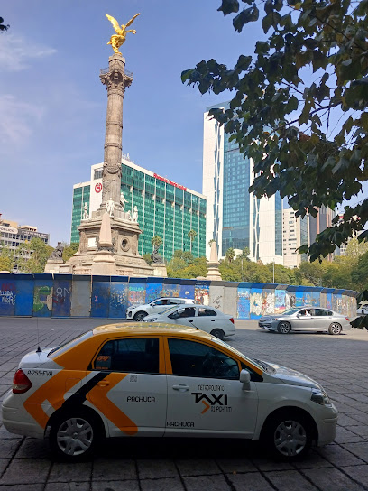 Taxi Golden