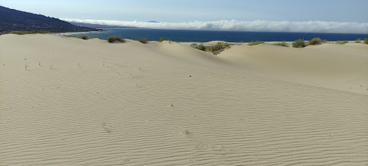 Camping Jardín de Las Dunas