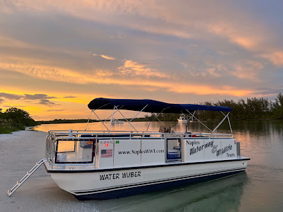 Naples Waterway & Wildlife Tours