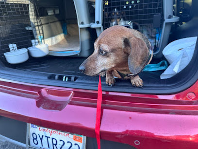 Feathers and Fur Express