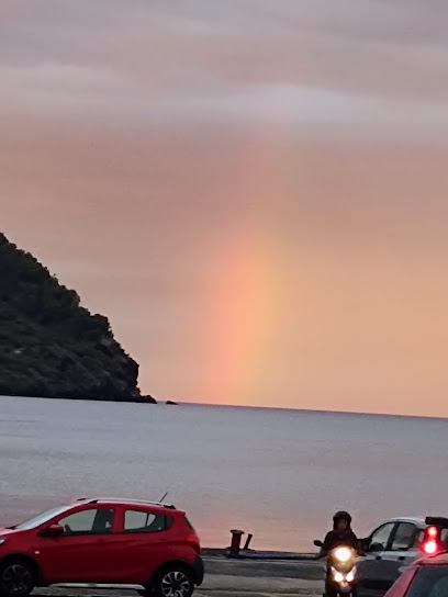 Servizio taxi Rino