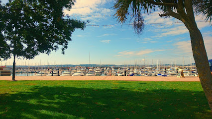Torquay Marina